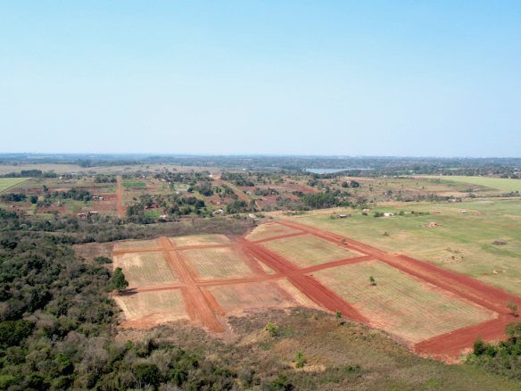 Minga Guazú